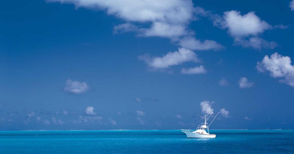 A selection of organic skincare products for sensitive skin arranged on a wooden surface with soft lighting.