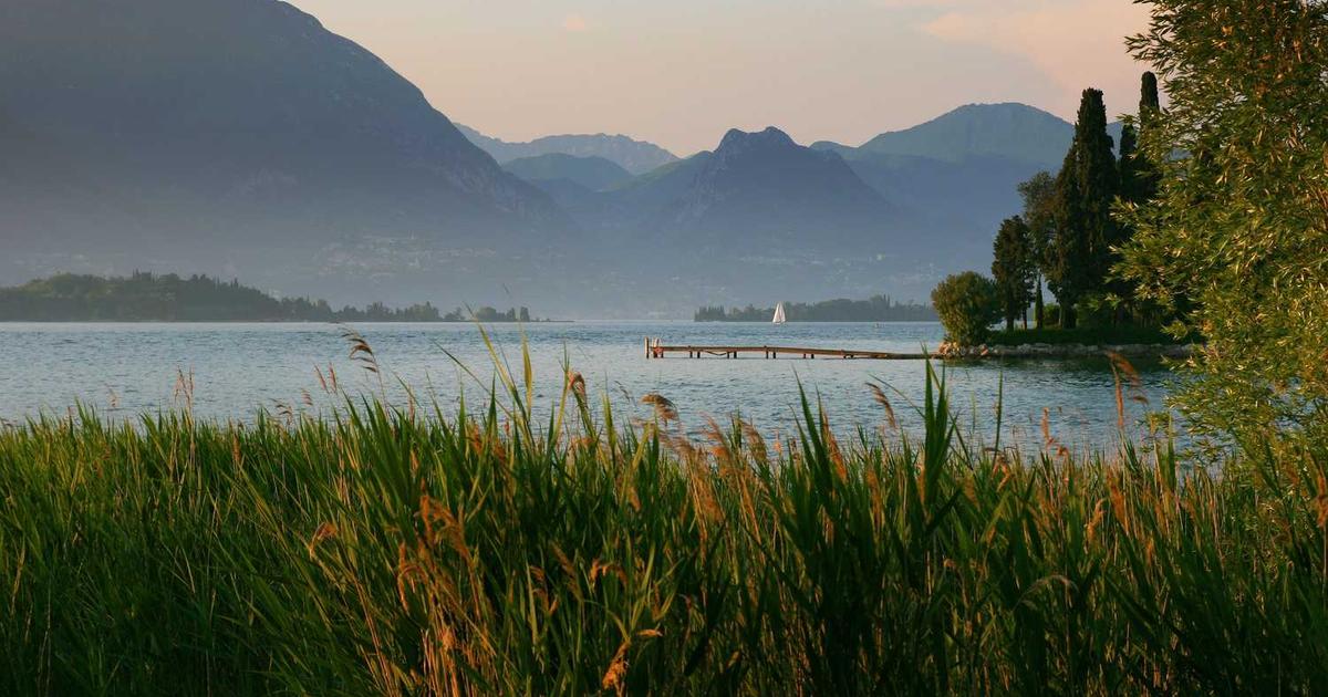 A hand holding various organic skincare products with visible ingredient labels for sensitive skin analysis.