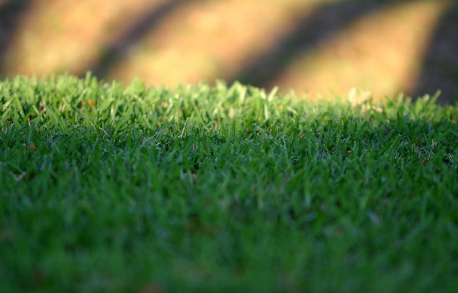 Lush, healthy green lawn with landscaping showcasing tips for choosing the right lawn care service for your home.