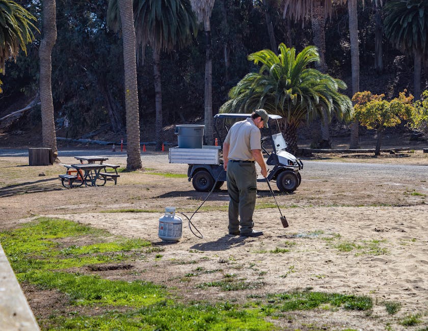 A lush green lawn being maintained by professionals, highlighting seasonal lawn maintenance services.