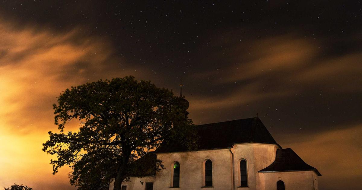 Colorful organic baby food jars neatly arranged on a wooden shelf, showcasing top brands for parents to compare.