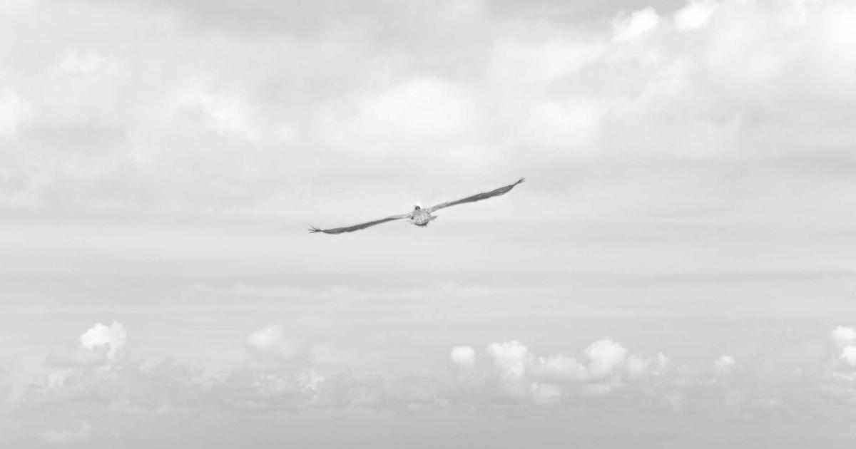 A grocery cart filled with various organic baby food pouches ready for shopping, showcasing top brands for parents.