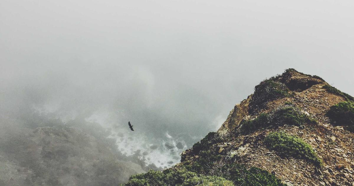 Natural skincare products on a bathroom shelf, featuring gentle lotions and serums ideal for sensitive skin care routines.