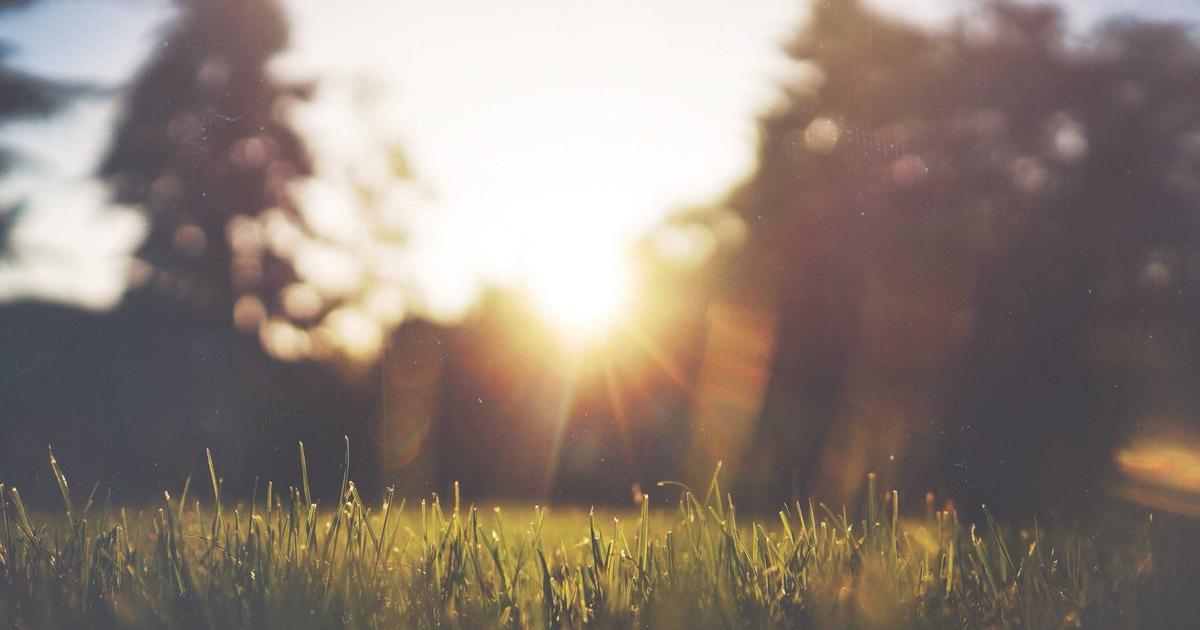 A shopper comparing food products with labels in a grocery store to choose healthier options for their cart.