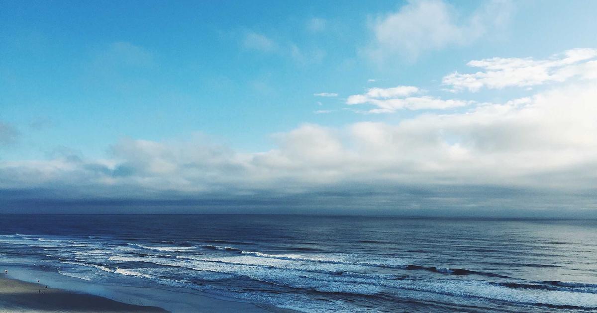 A person using an app to scan food products while shopping for healthy groceries in a supermarket aisle.